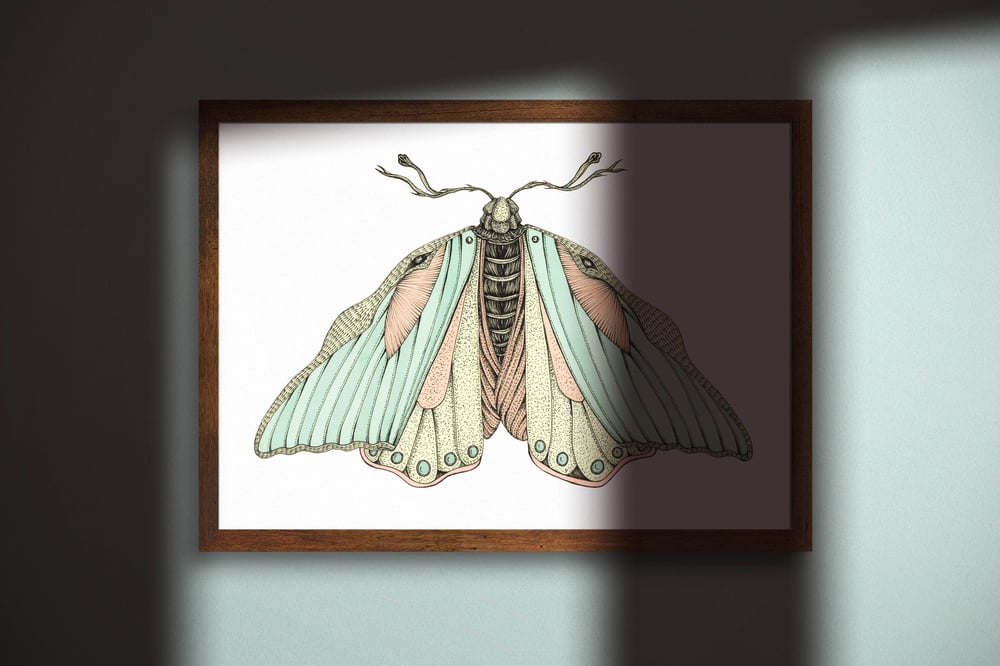 The Moth