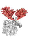 The Coral Moose