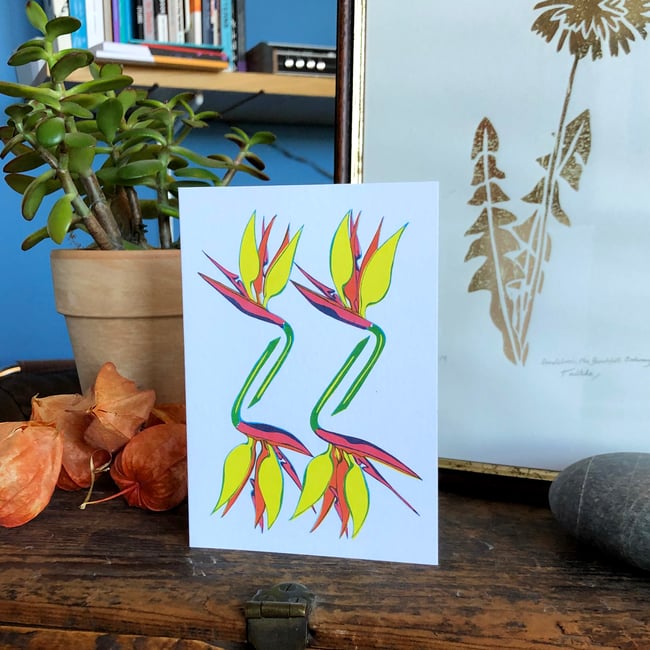 Tropical flower greeting card