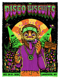 Image 1 of Disco Biscuits @ Lafayette, NY - 2020