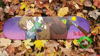 Custom Skateboard Deck (wall art) made to order