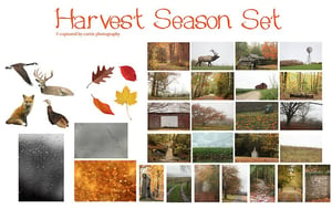 Image of Harvest Season Set
