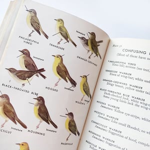 A Field Guide to the Birds - Peterson