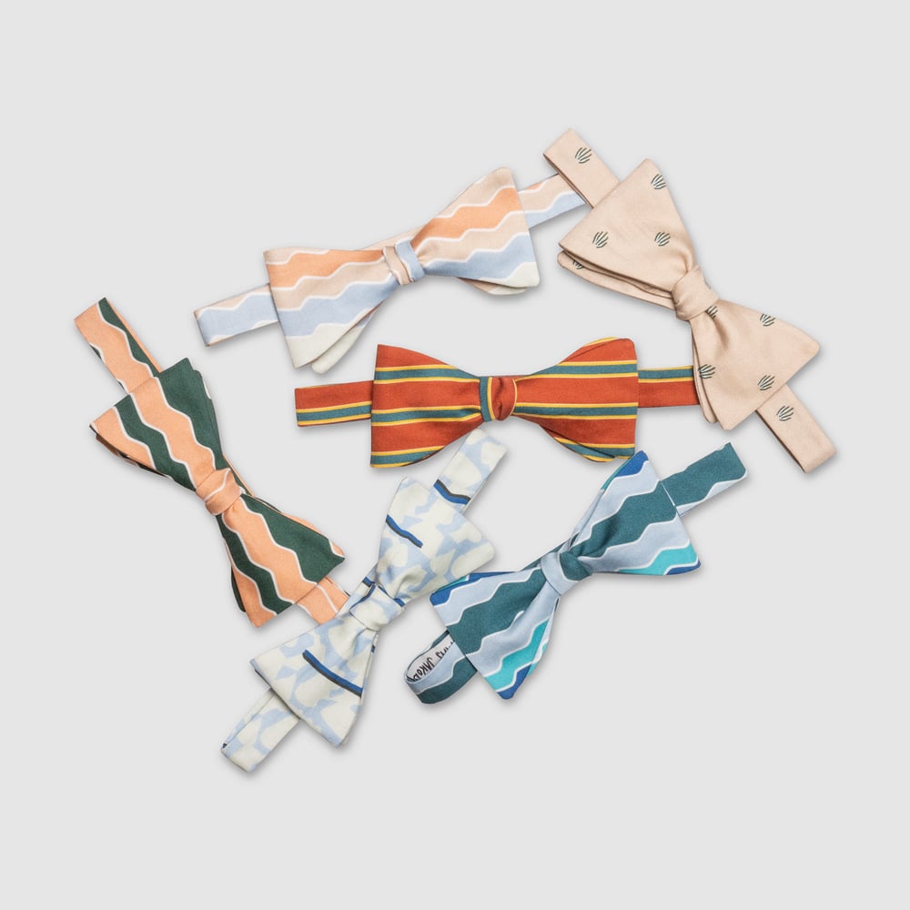 PAMPA - the bow tie