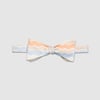 PAMPA - the bow tie