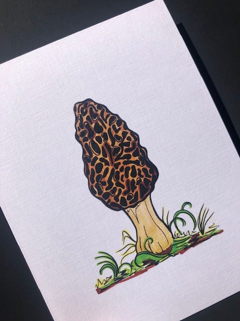 Image of Morel Mushroom