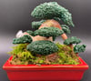 Functional bonsai #12 