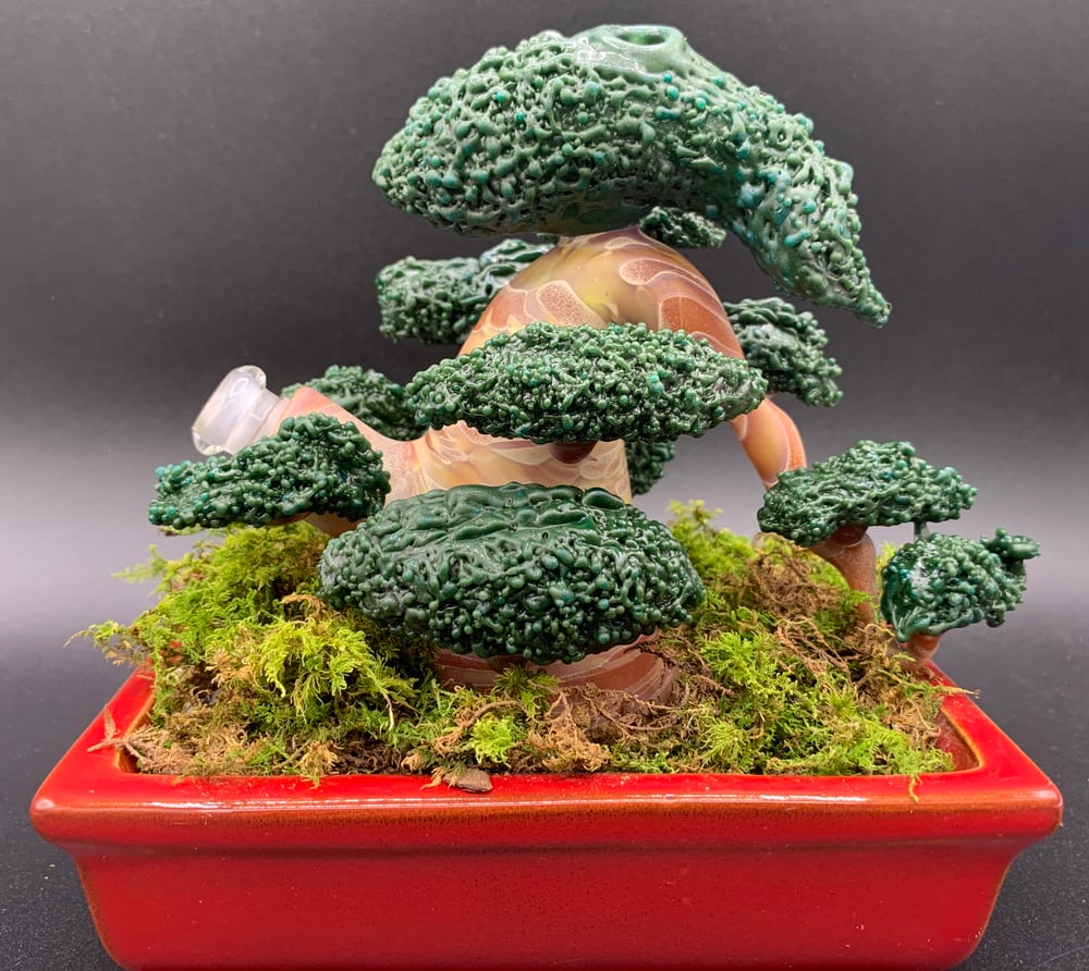 Functional bonsai #12 