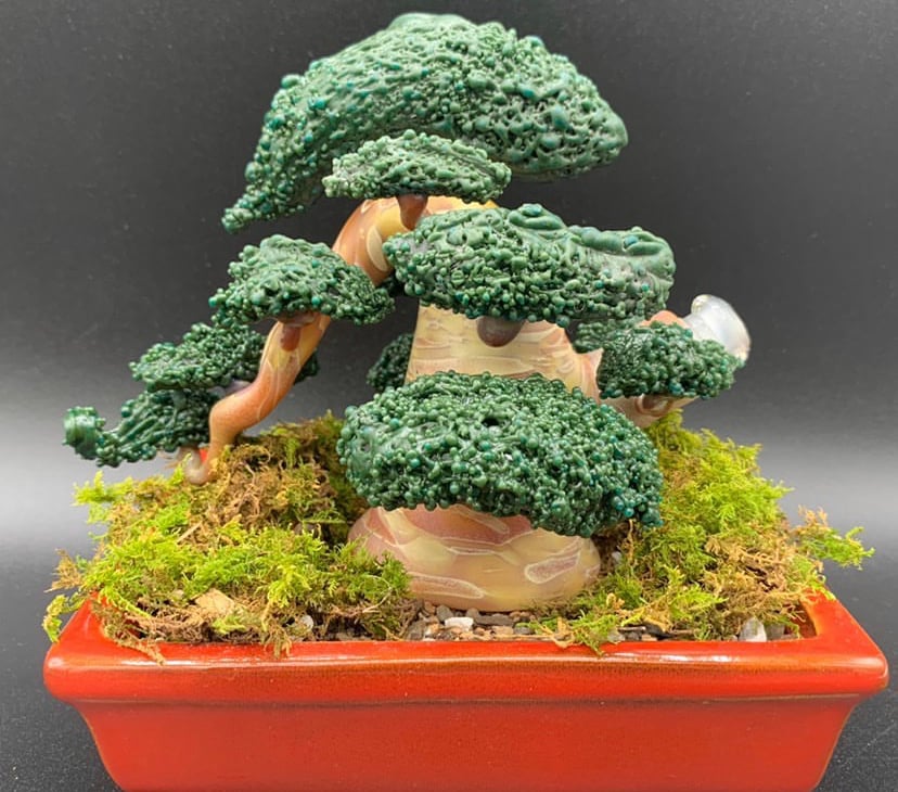 Functional bonsai #12