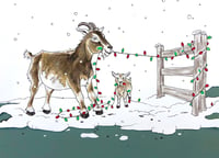 Image 1 of HOLIDAY CARDS - Goats or Sharks!