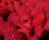 Sun Ripened Raspberry ~ Wax Melts ~ Made To Order 