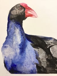 Image 2 of Purple Swamp hen portrait 