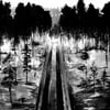 Vox Clamantis / Before Everything Turns Black - “Split MMXX” CS