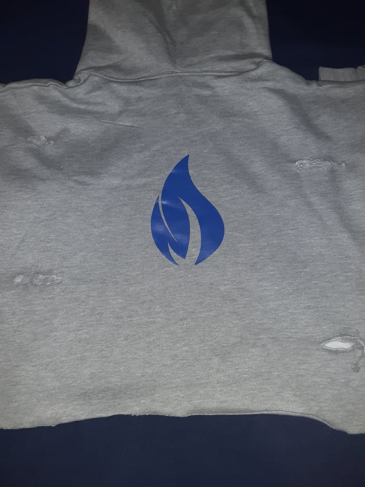 Image of "Distressed Crop Top" Hoodie 