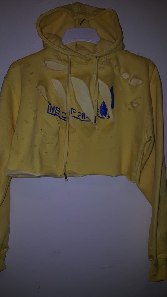 Image of "Distressed Crop Top" Hoodie 