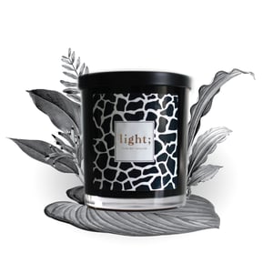 Image of Welcome to the Jungle