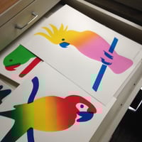 Image 1 of Set of 3 parrots screenprints