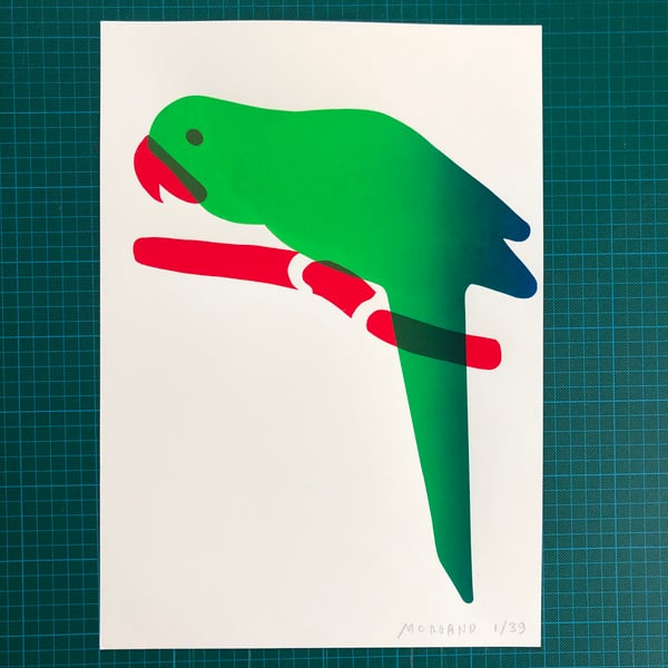 Image of Green Parrot