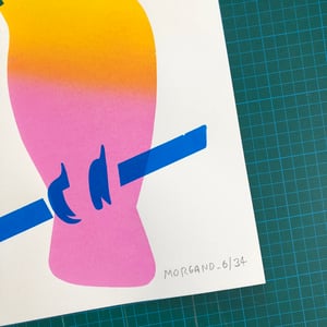 Image of Cockatoo parrot