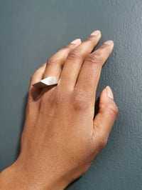 Image 3 of THE SLATE 