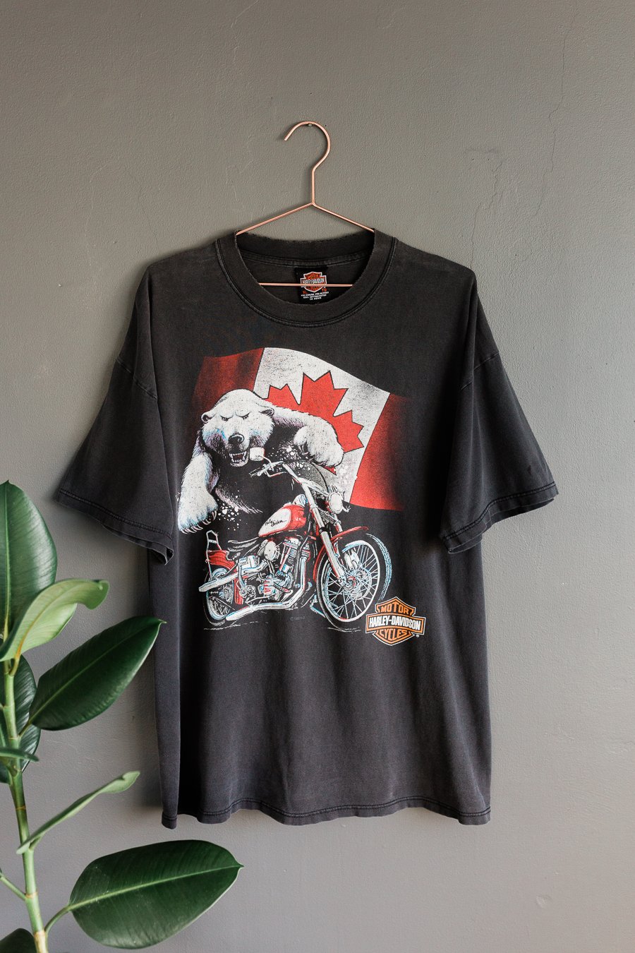 Image of 2000 Harley Davidson -  Saint-John N.B. Canada 