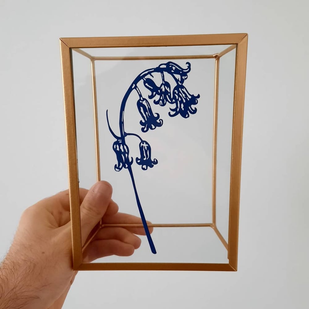 Image of Framed Hand Cut Bluebell