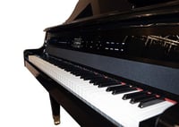 Image 2 of PHYSIS PIANO G1000