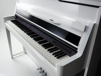 Image 4 of PHYSIS PIANO V100