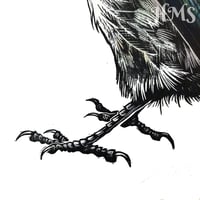 Image 2 of Magpie #5