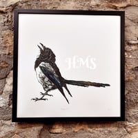 Image 3 of Magpie #5