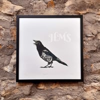 Image 2 of Magpie #4