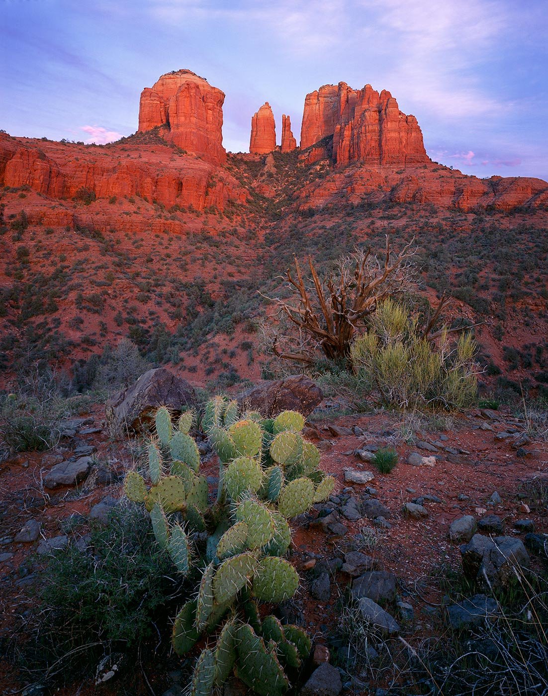 Image of Cathedral Rock and Prickly Pear, Coconino National Forest, Arizona