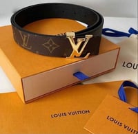 New Stylish Brown and Gold Belt 