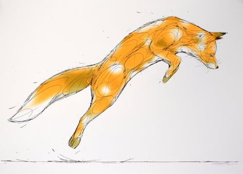 Image of JUMPER (FOX°)
