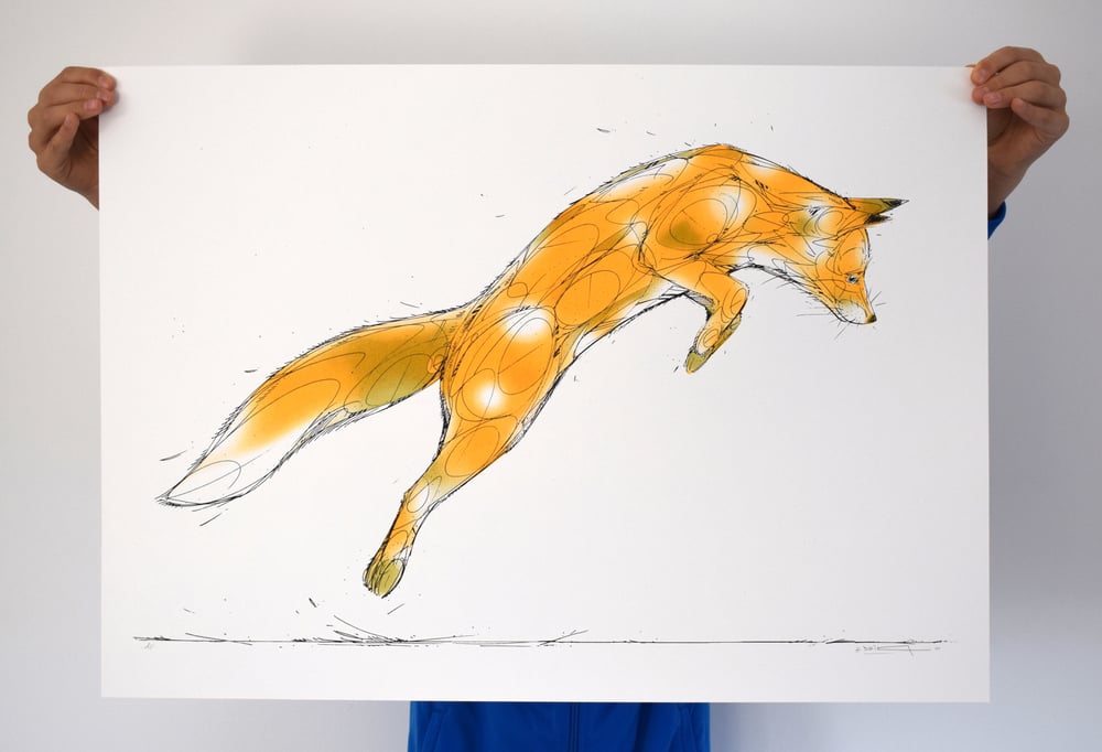 Image of JUMPER (FOX°)