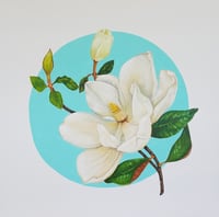 Image 1 of Southern Magnolia 