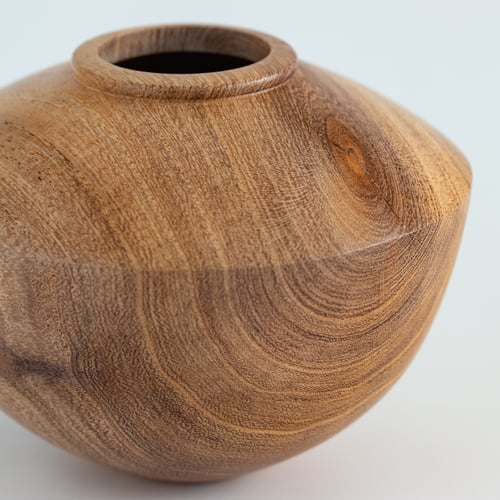 Image of Mesquite Hollow Form 