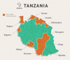 Tanzanian Peaberry