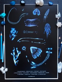 Image 1 of Deep Sea Bioluminescence Poster Fine Art Print