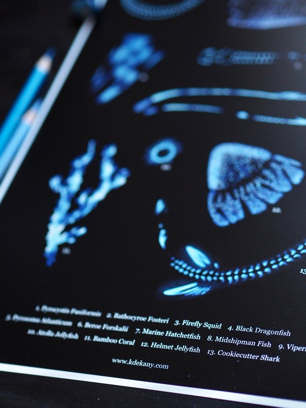 Image of Deep Sea Bioluminescence Poster Fine Art Print