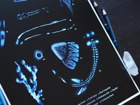 Image 3 of Deep Sea Bioluminescence Poster Fine Art Print