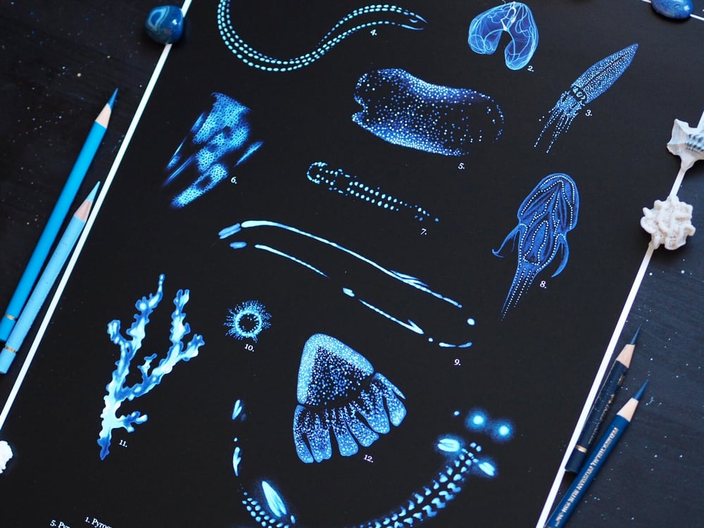 Deep Sea Bioluminescence Poster Fine Art Print