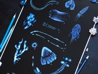 Image 4 of Deep Sea Bioluminescence Poster Fine Art Print