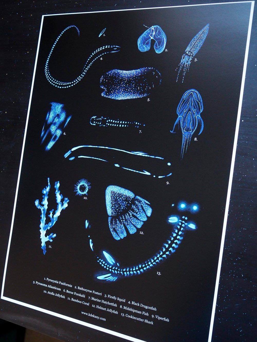 Image of Deep Sea Bioluminescence Poster Fine Art Print