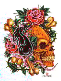 Skull and rat