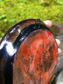 Moth Magic Portal 