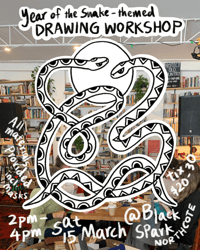 Drawing Workshop (Saturday 15th March, 2-4pm)