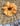 Melemele Hibiscus Scrunchie