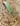 Camo Hibiscus Key Fob