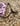 Camo Hibiscus Face Mask